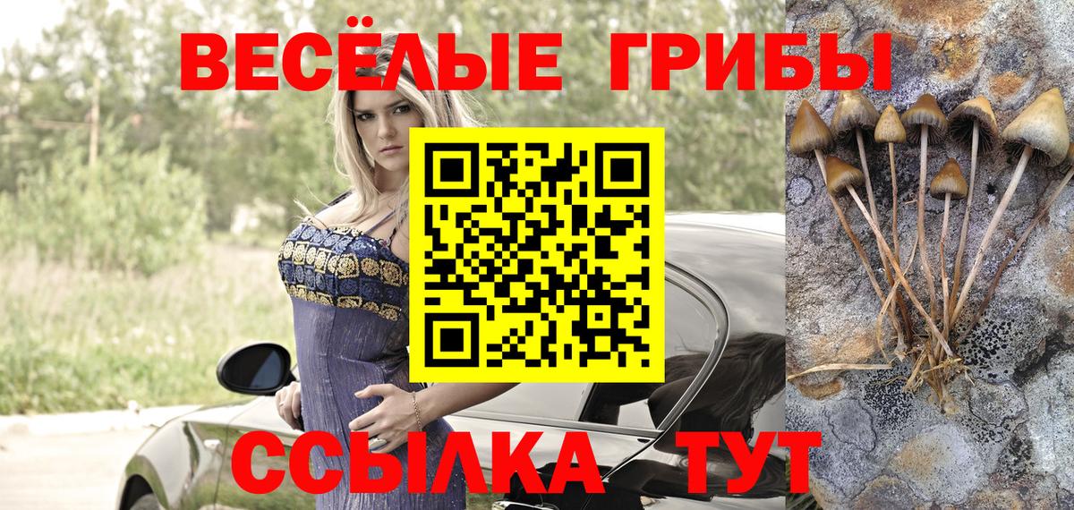 Псилоцибиновые грибы Psilocybine cubensis Майский