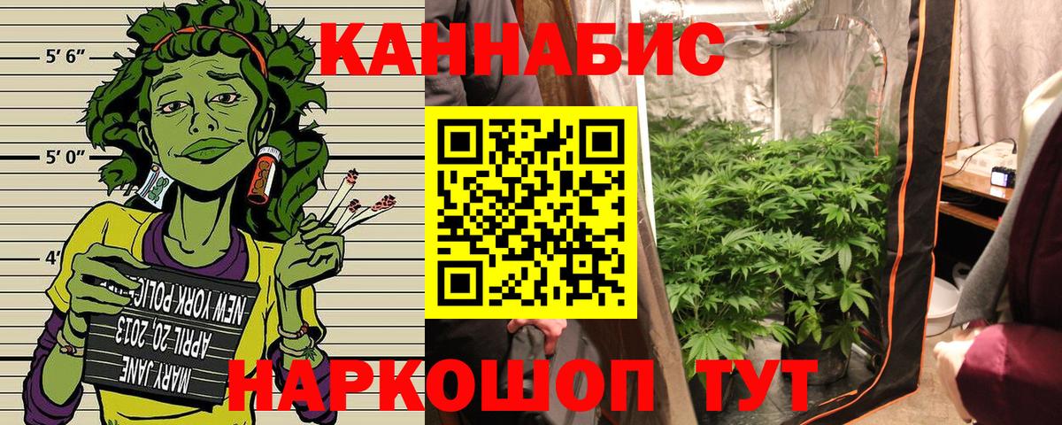 Каннабис гибрид Майский